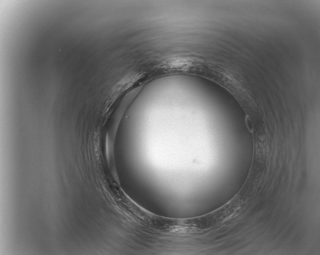 X0000058120504200509301930