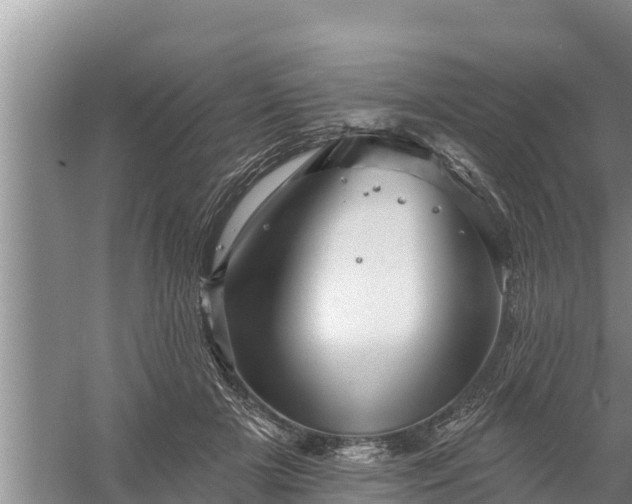 X0000058120505200509301930