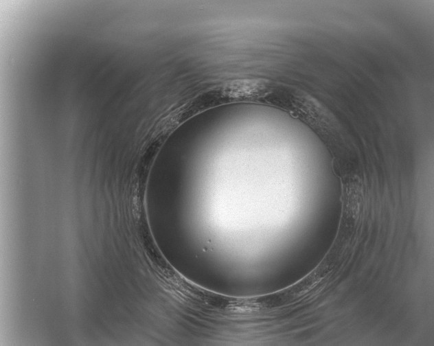 X0000058120510200509301930