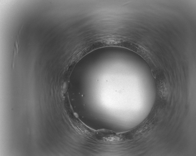 X0000058120512200509301930