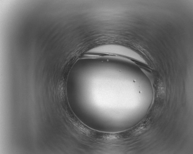 X0000058120513200509301930