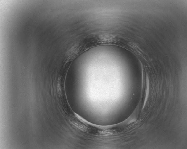 X0000058120516200509301930