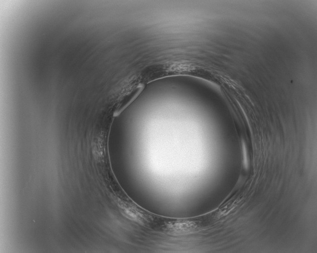 X0000058120517200509301930