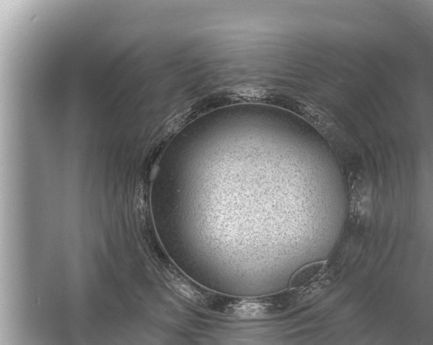 X0000058120518200509301930