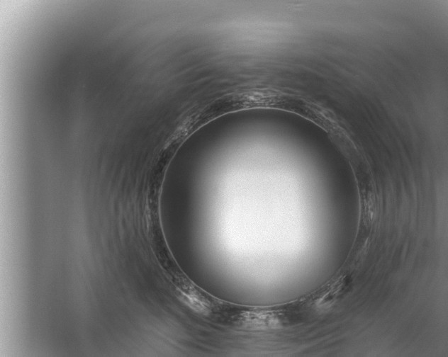 X0000058120520200509301930