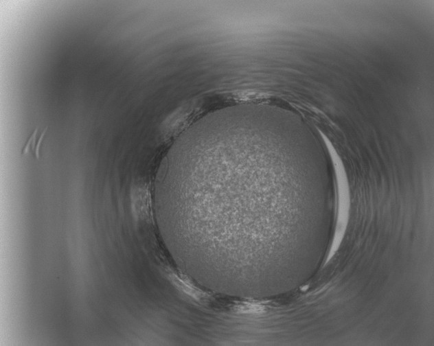 X0000058120523200509301930