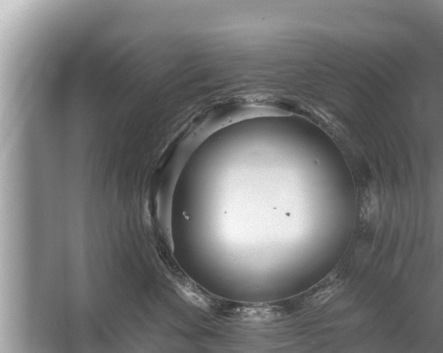 X0000058120524200509301930