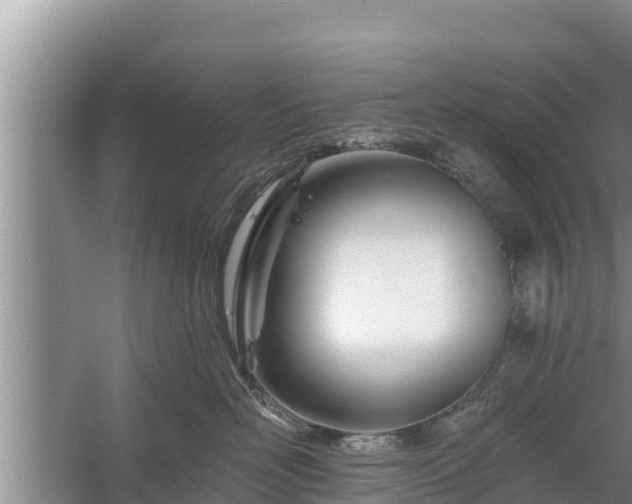 X0000058120526200509301930