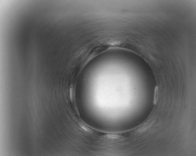 X0000058120528200509301930