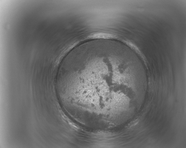 X0000058120529200509301929