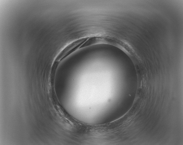 X0000058120532200509301929