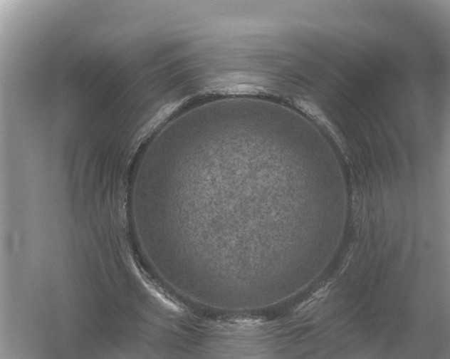 X0000058120533200509301929