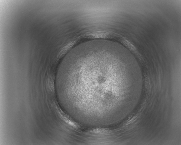 X0000058120537200509301929