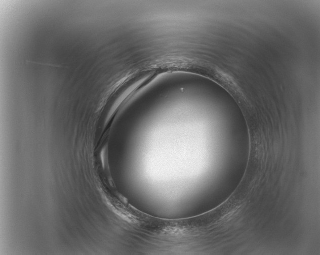 X0000058120538200509301929