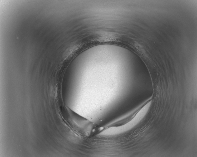 X0000058120539200509301929