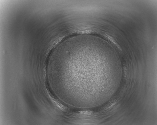 X0000058120541200509301929