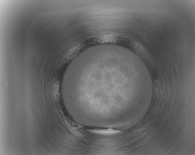 X0000058120550200509301929