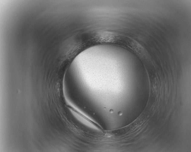 X0000058120551200509301929