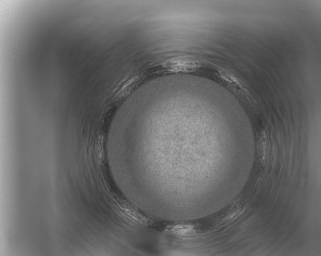 X0000058120554200509301929