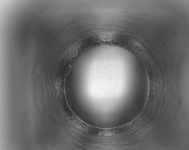 X0000058120559200509301929