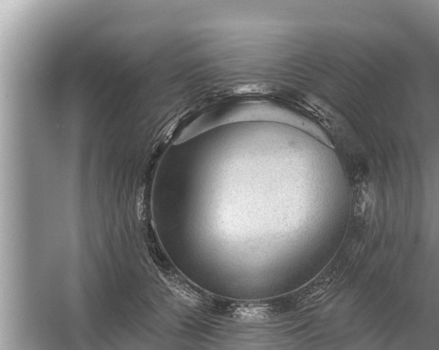 X0000058120560200509301929