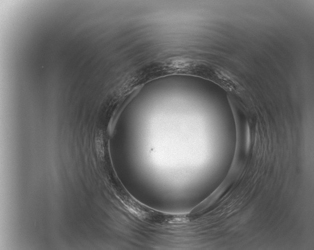 X0000058120562200509301930