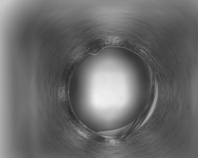 X0000058120564200509301930