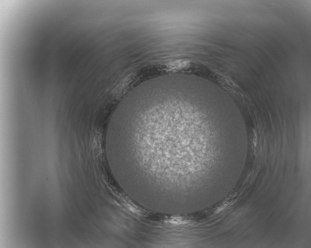 X0000058120565200509301930