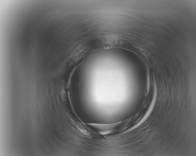 X0000058120566200509301930