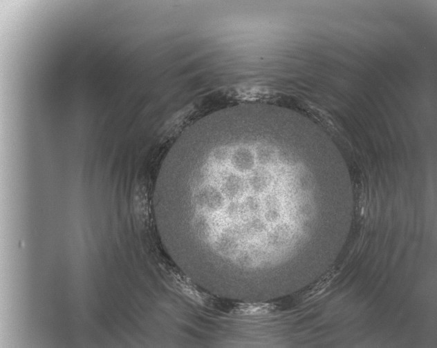 X0000058120569200509301930