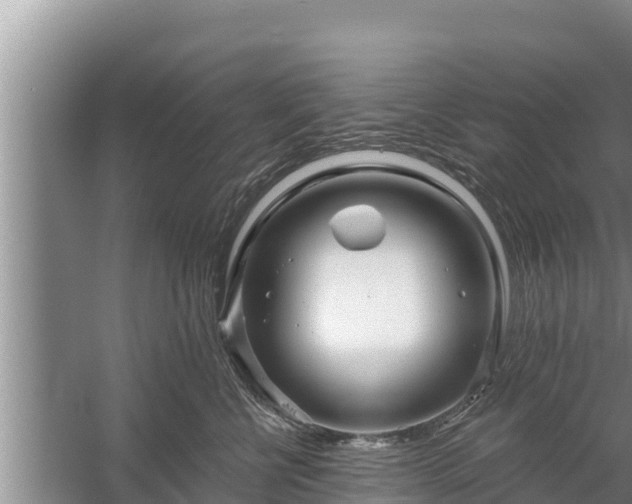 X0000058120570200509301930