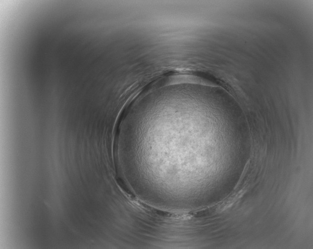 X0000058120576200509301930