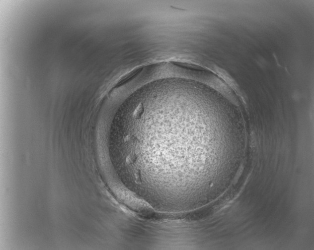 X0000058120577200509301929