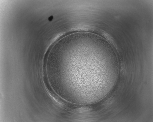 X0000058120578200509301929