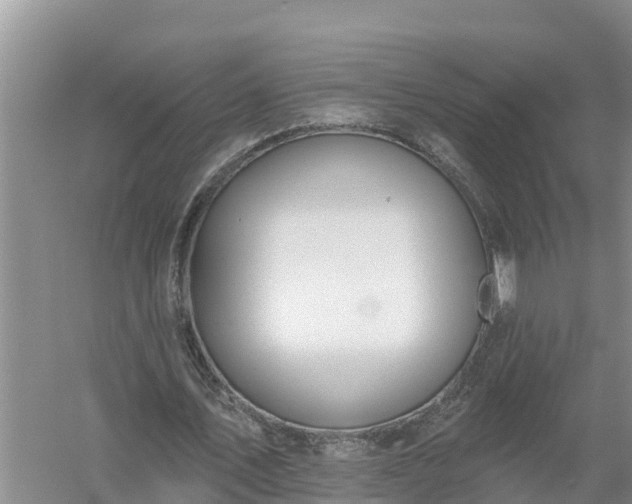 X0000058120579200509301929