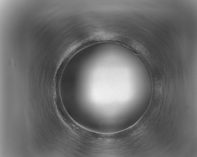 X0000058120582200509301929