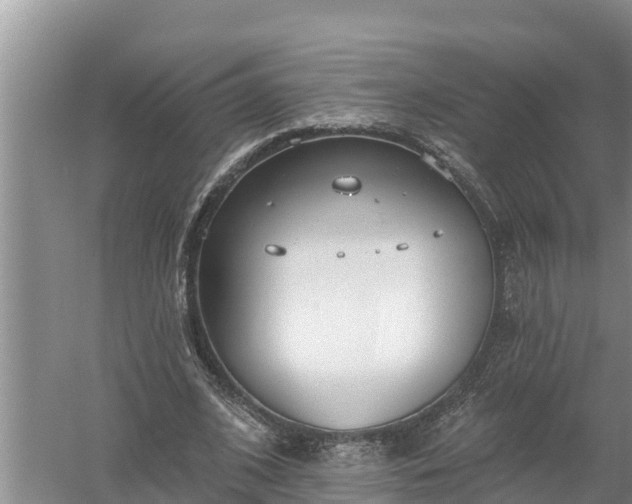 X0000058120584200509301929