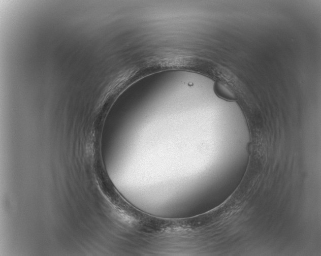 X0000058120586200509301929