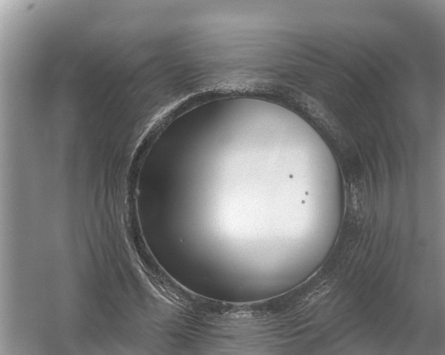 X0000058120588200509301929