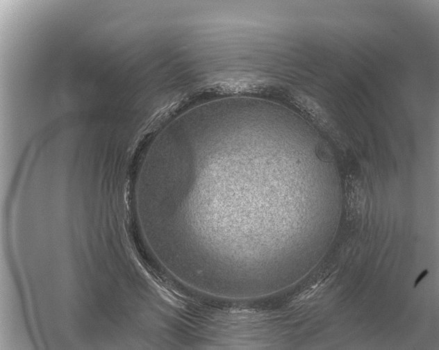 X0000058120590200509301929