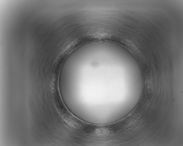 X0000058120591200509301929