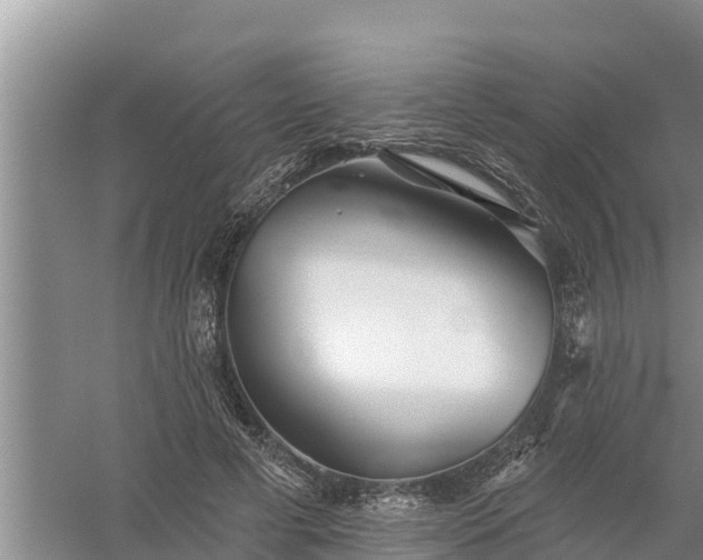 X0000058120593200509301929