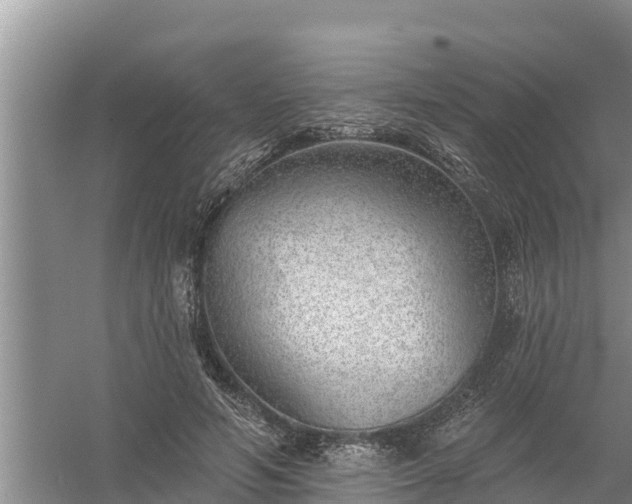 X0000058120594200509301929