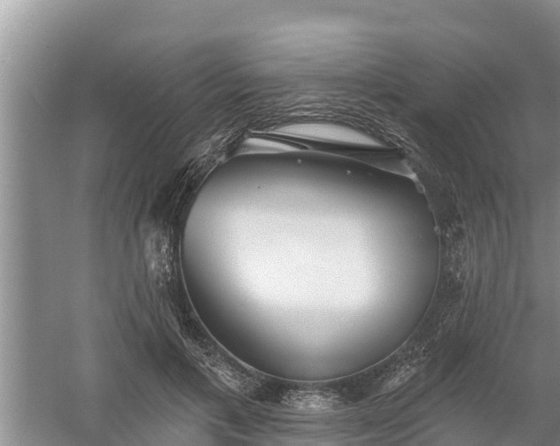 X0000058120597200509301929