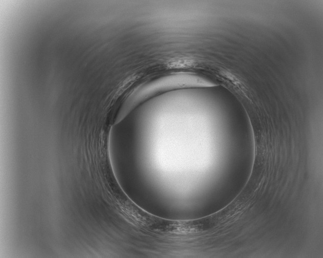 X0000058120601200509301929