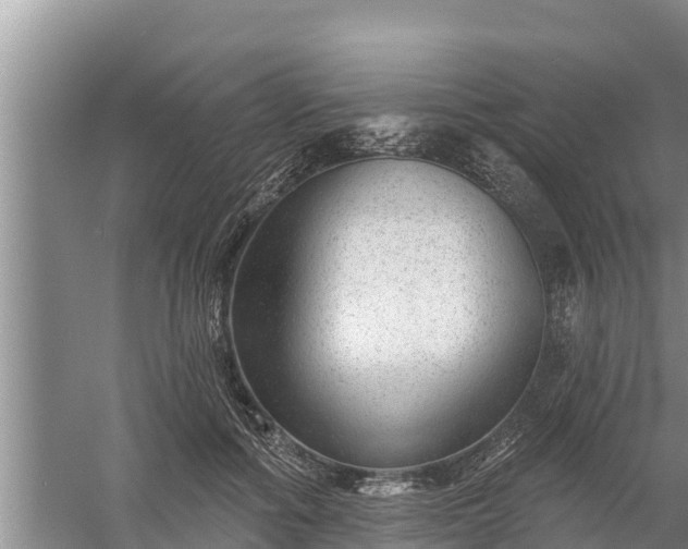 X0000058120602200509301929