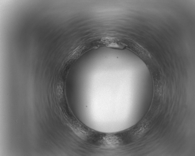 X0000058120603200509301929