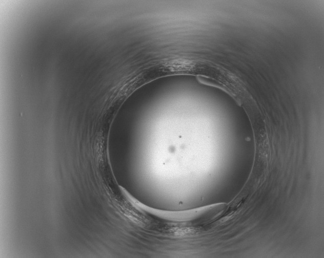 X0000058120604200509301928