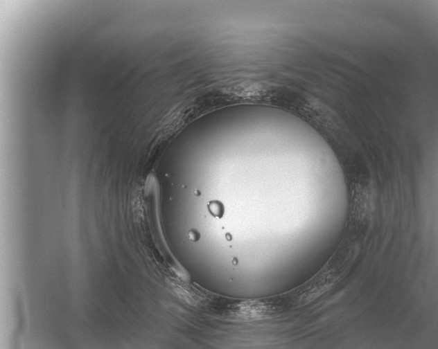 X0000058120612200509301928