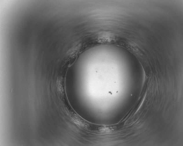 X0000058120616200509301928